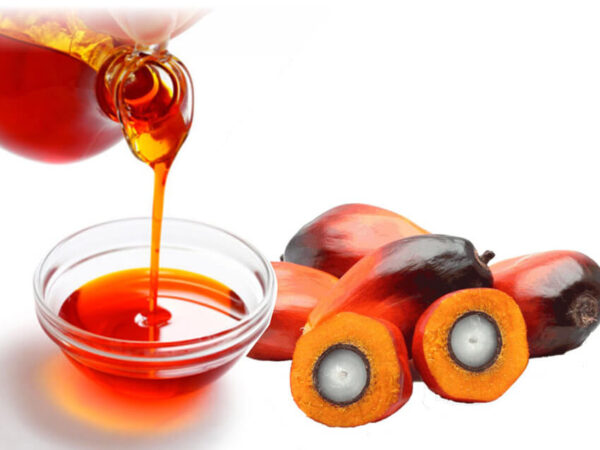 Palm Kernel Oil