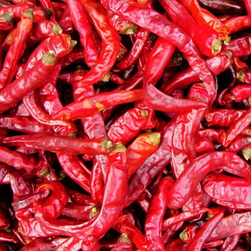 dry-red_Chilly